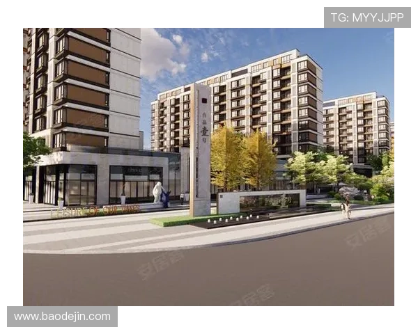 作品壹号房子怎么样是否值得信赖的开发商和项目背景介绍